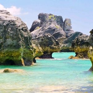 Meet your Posher, Dee